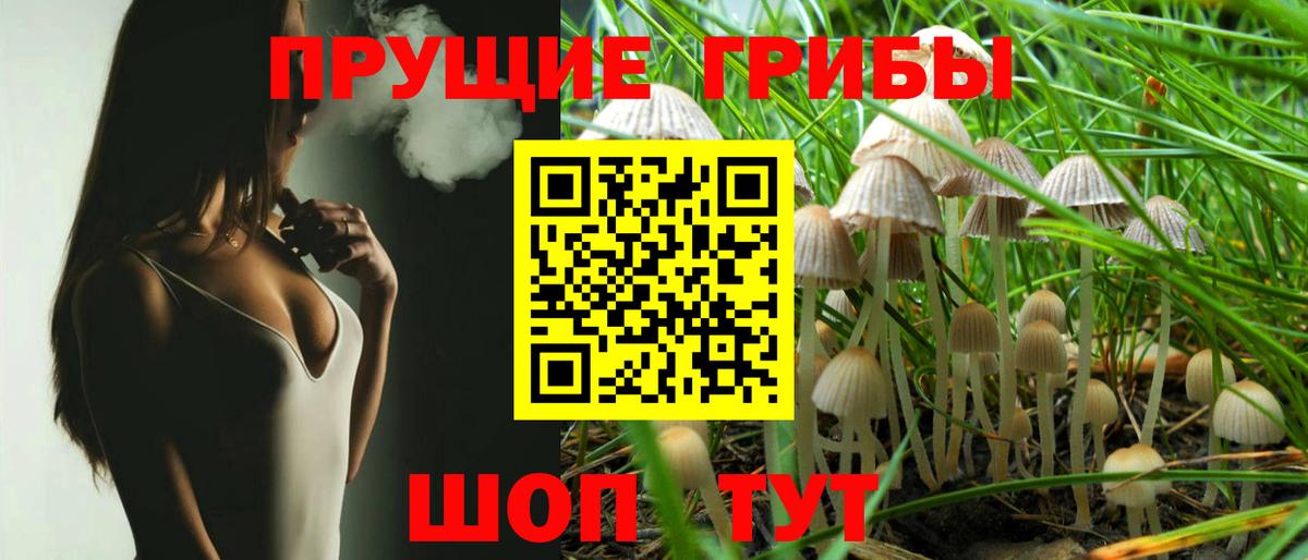 Псилоцибиновые грибы MAGIC MUSHROOMS Балтийск