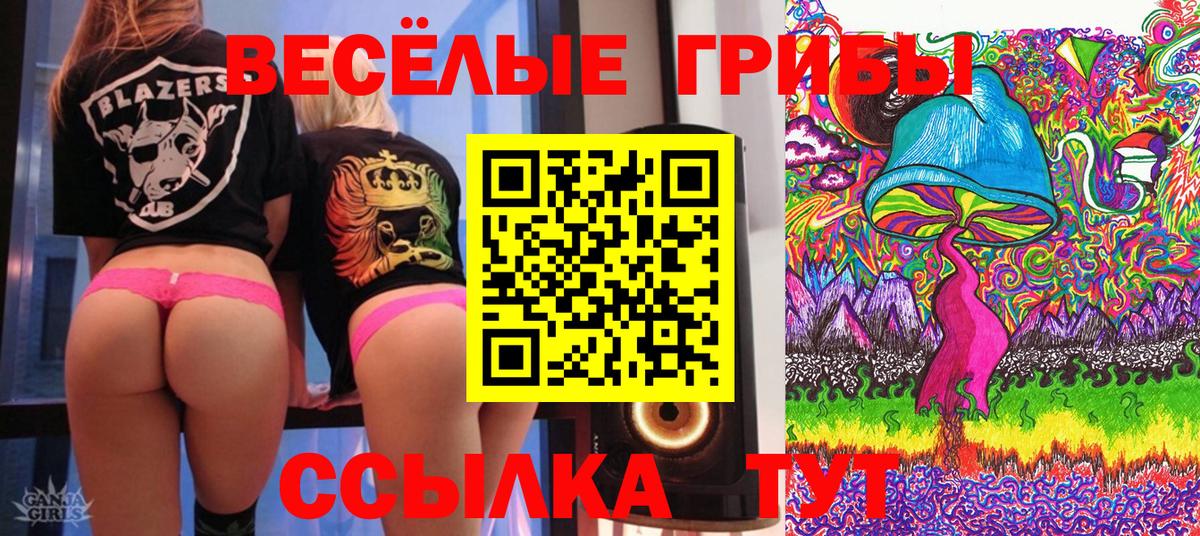 Балтийск  Галлюциногенные грибы прущие грибы  Галлюциногенные грибы Magic Shrooms  Вход с VPN 
